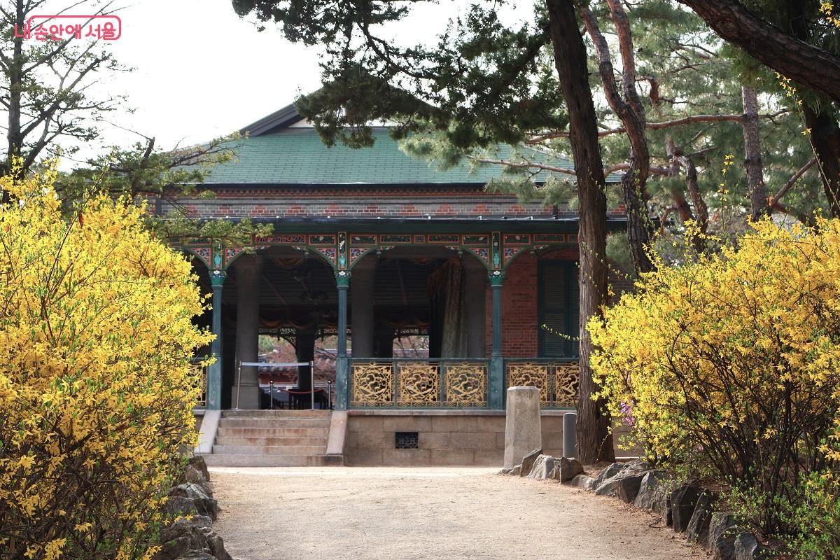 고종 황제가 연회를 즐기던 정관헌 길목에 노란 개나리가 활짝 피어 관람객을 맞이한다. &copy;이봉덕