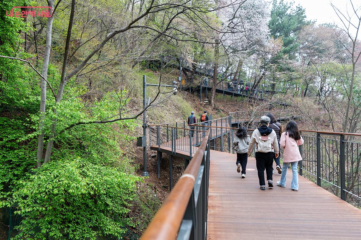 안정적 높이와 낮은 경사의 무장애숲길은 남녀노소 누구나 걷기 좋은 길이다. ⓒ문청야
