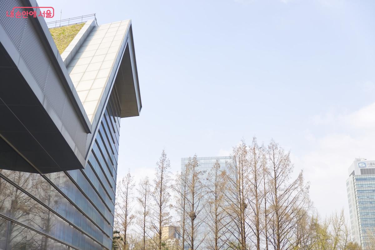 국립중앙도서관은 규모도 크고 건축도 상당히 멋진 곳이었다.