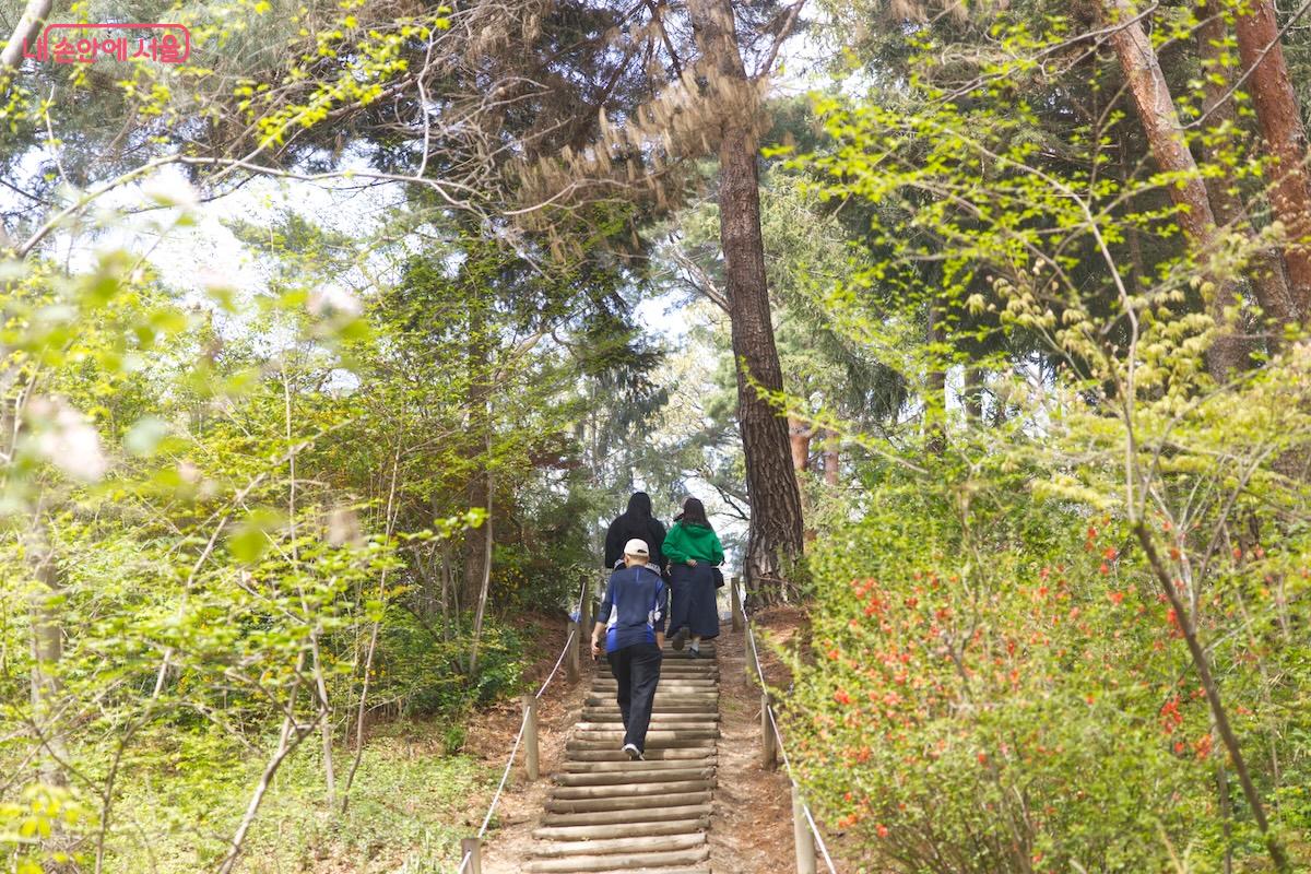 현재는 남양주로 이장되어 있지만, 옛 홍릉 터를 답사할 수도 있다