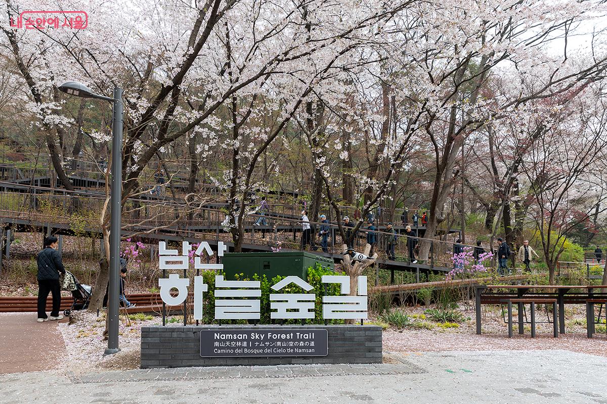 남산도서관 맞은편 하늘숲길 입구 표지판. 갓을 쓴 까치가 표지 위에 앉아 있다. ⓒ문청야