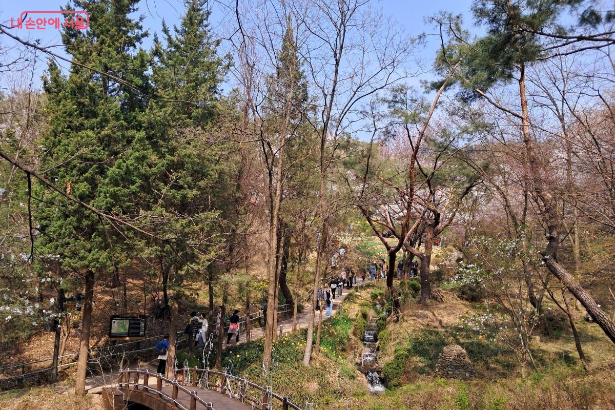 화려한 공연을 즐긴 후, 싱그러운 숲속을 걷는 축제 참가자들 ©장형진