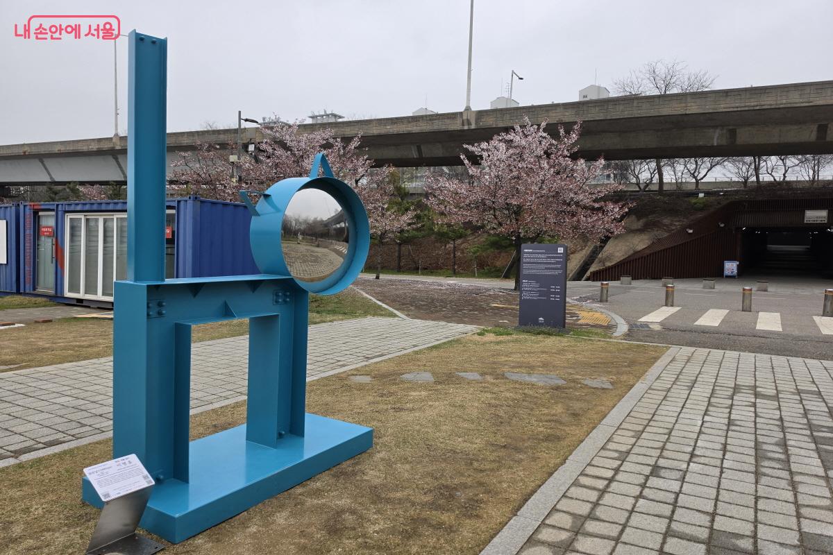 고양이와 거울.