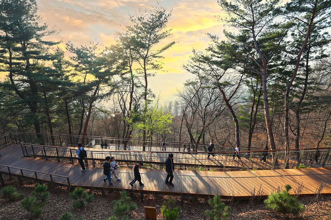 봄 산책, 가볍게 떠나볼까? 지금 가장 좋은 '남산 하늘숲길' 추천