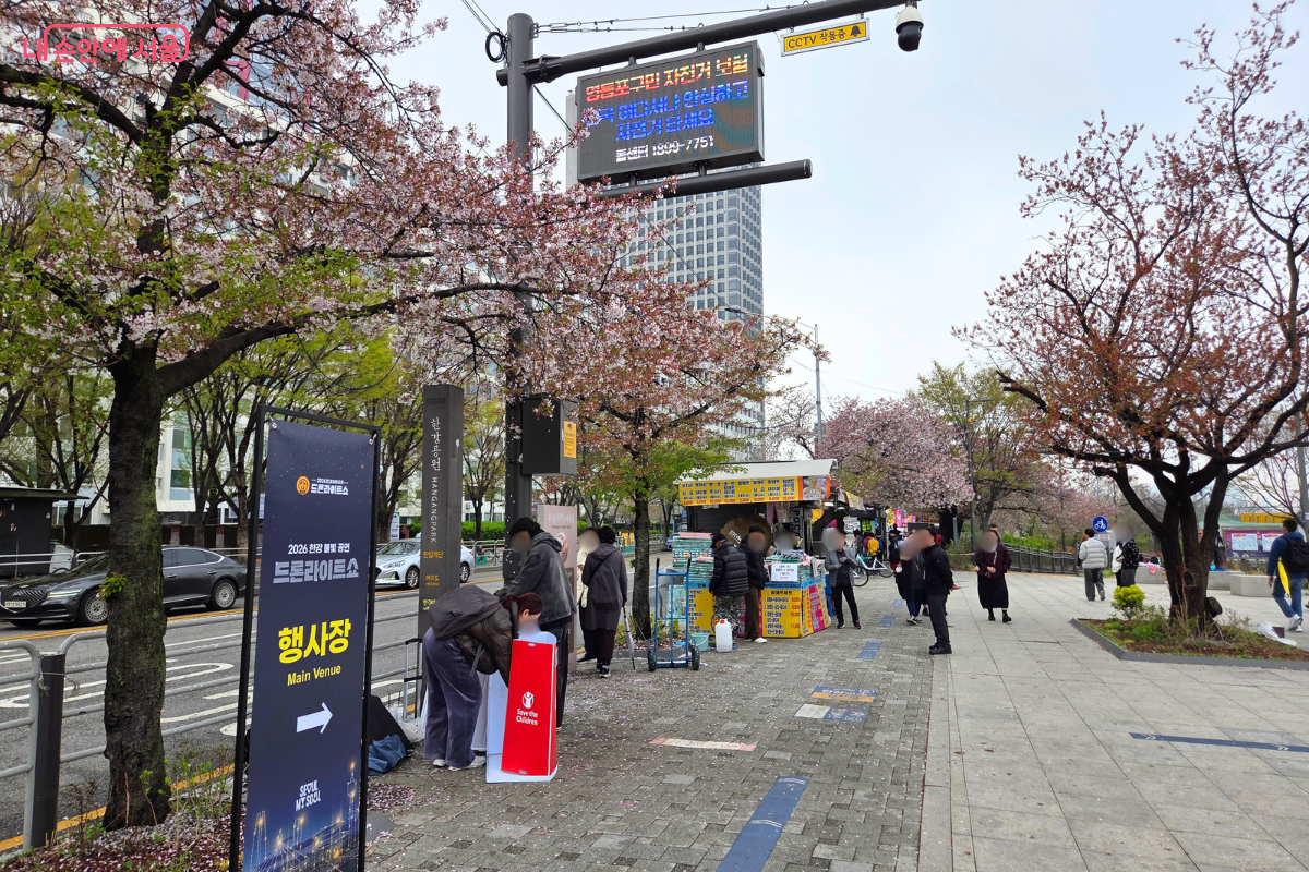 한강공원 주변 벚꽃 풍경 ⓒ김승아