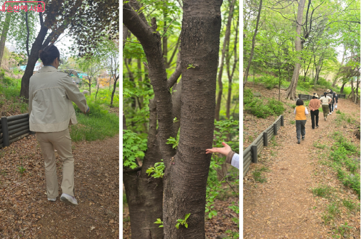 숲 자체가 힐링, 두 팔을 크게 올리면서 워킹! &copy;최윤정
