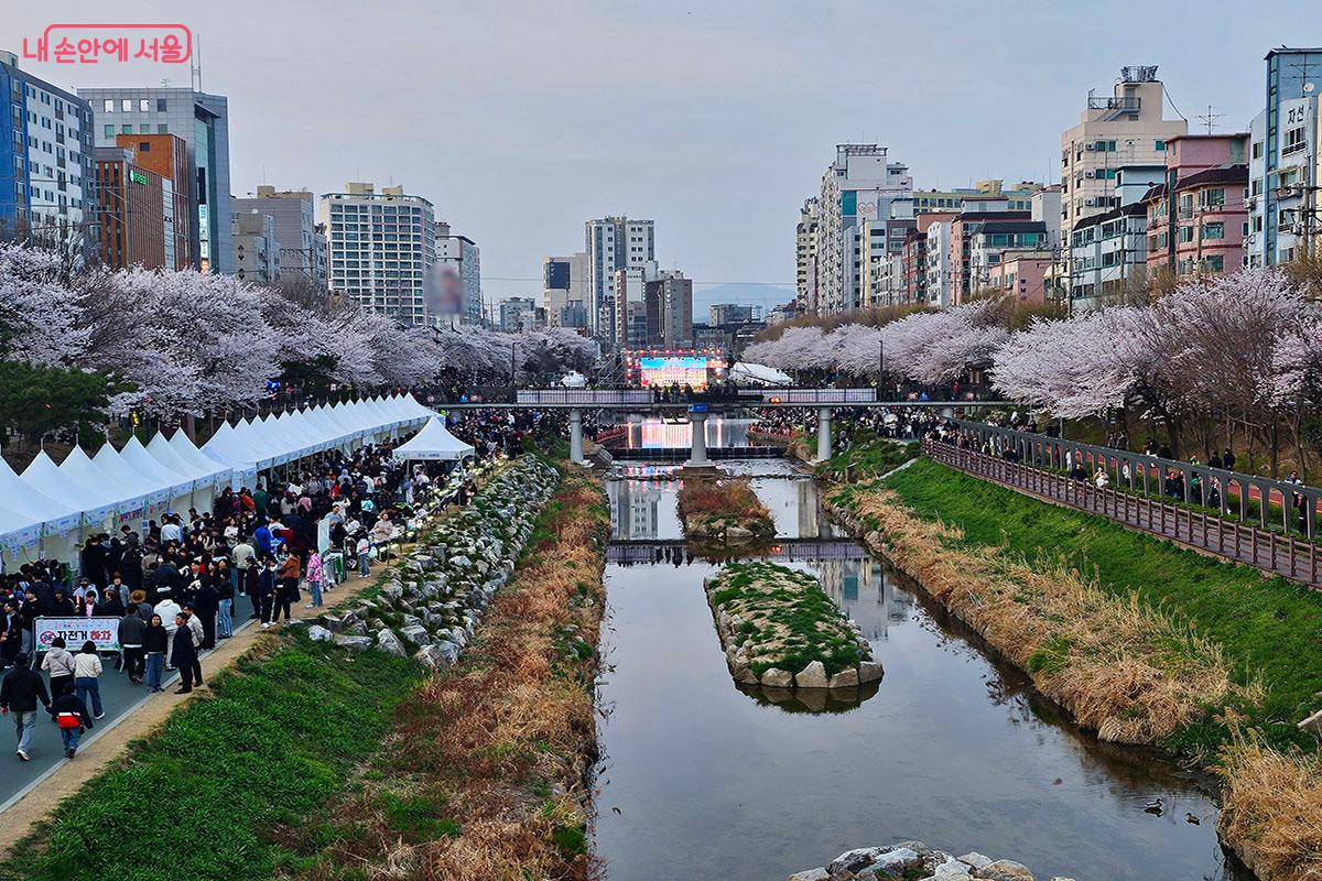 은평벚꽃축제를 즐기는 시민들.ⓒ이정민