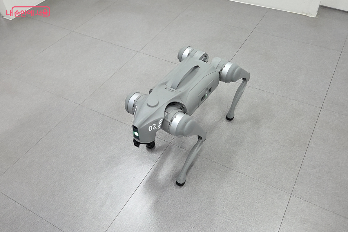로봇 강아지 퓨리가 걸어가고 있는 모습 ©김승아