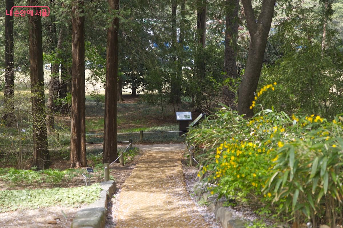 아쉽게 주차공간은 없어서 가급적 대중교통을 타고 방문해야 한다