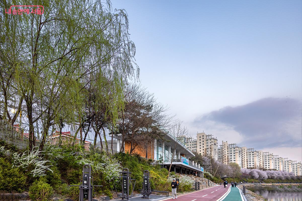  돋아난 우이천 산책로와 자전거길 풍경ⓒ장신자
