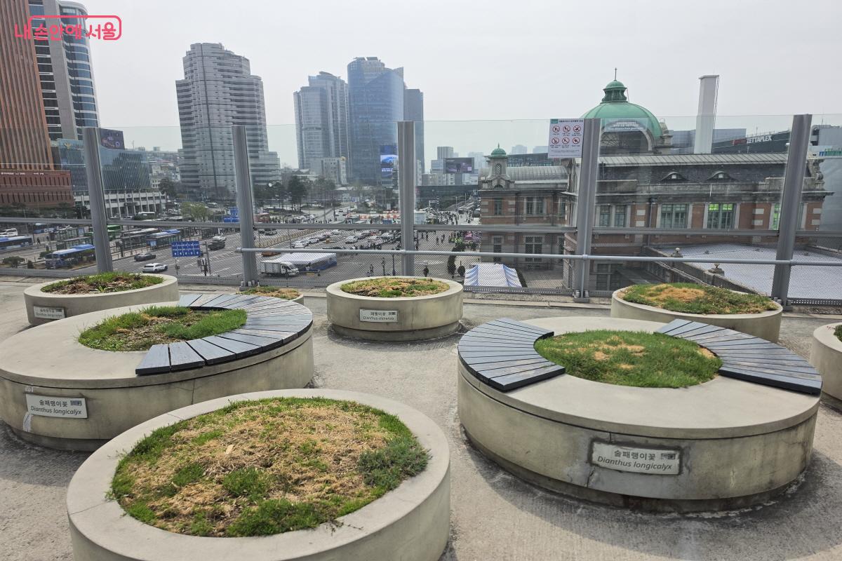 서울역 7017에 찾아온 봄 &copy;조송연