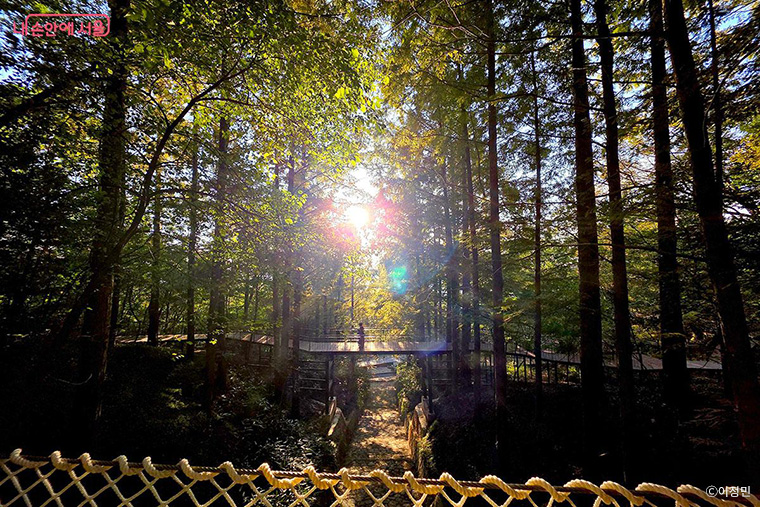 정원처방의 진짜 가치는 질병 치료가 아니라 예방에 있다. 사진은 남산 하늘숲길