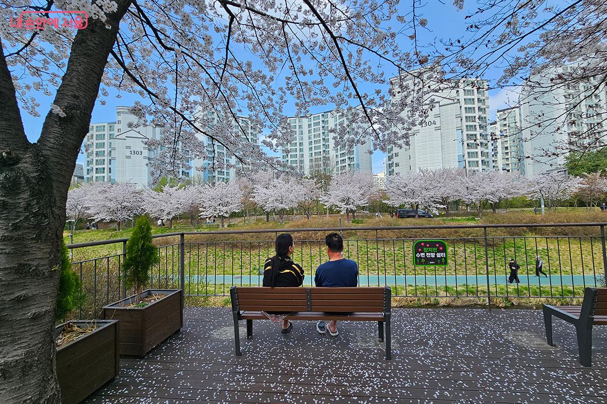 장지천 벚꽃길을 따라 정비된 산책로와 곳곳에 마련된 쉼터들이 인상적이다. ©이혜숙