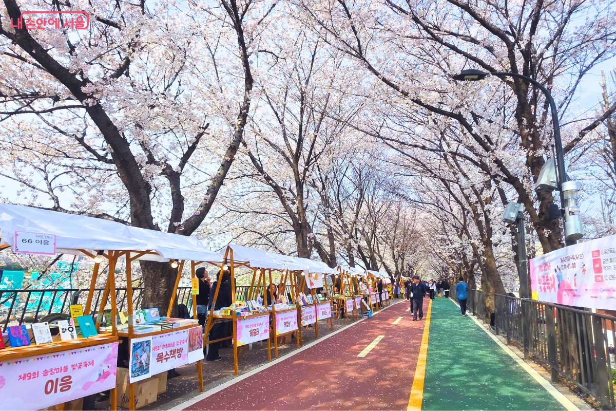 벚꽃 터널이 길게 이어진 제방 산책로의 한쪽 면(왼쪽)을 따라 축제용 나무 가판대와 하얀 천막 부스들이 줄지어 설치되어 있다. 부스 중 하나에는 '목수책방'이라는 이름표가 붙어 있으며 여러 권의 책이 전시되어 있다. 시민들이 부스를 둘러보며 천천히 걷고 있으며, 머리 위로는 연분홍색 벚꽃이 하늘을 가릴 듯 울창하게 피어 있다.
