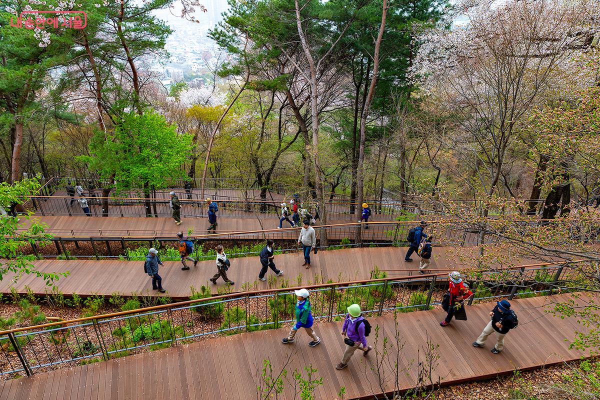 벚나무 전망대에서 내려다 본 모습, 완만한 데크길을 걷는 시민들의 발걸음이 활기차다. ⓒ문청야