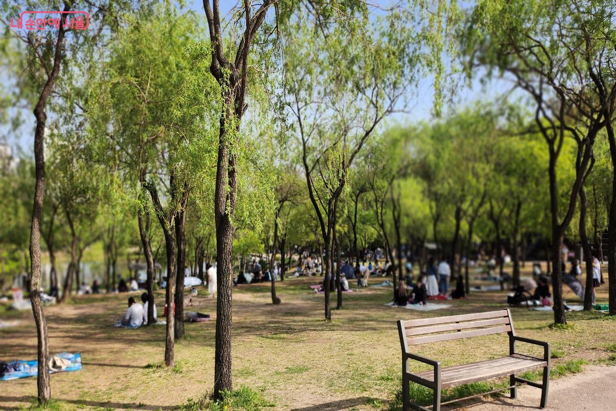 서울형 키즈카페를 이용한 후 공원을 걸으며 산책했다.&copy;장지영