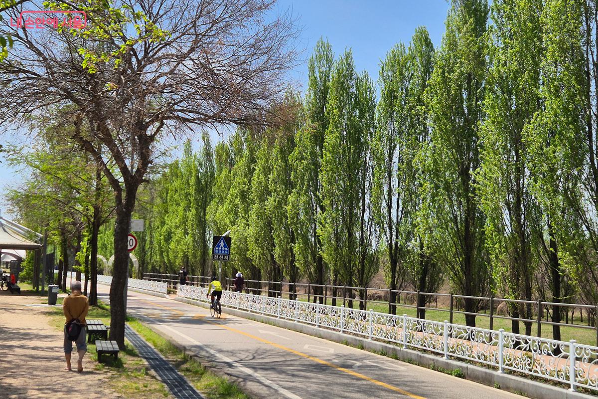 '피클볼의 성지'로 거듭난 광나루한강공원을 찾아 피클볼의 참맛을 느껴보자. &copy;백승훈