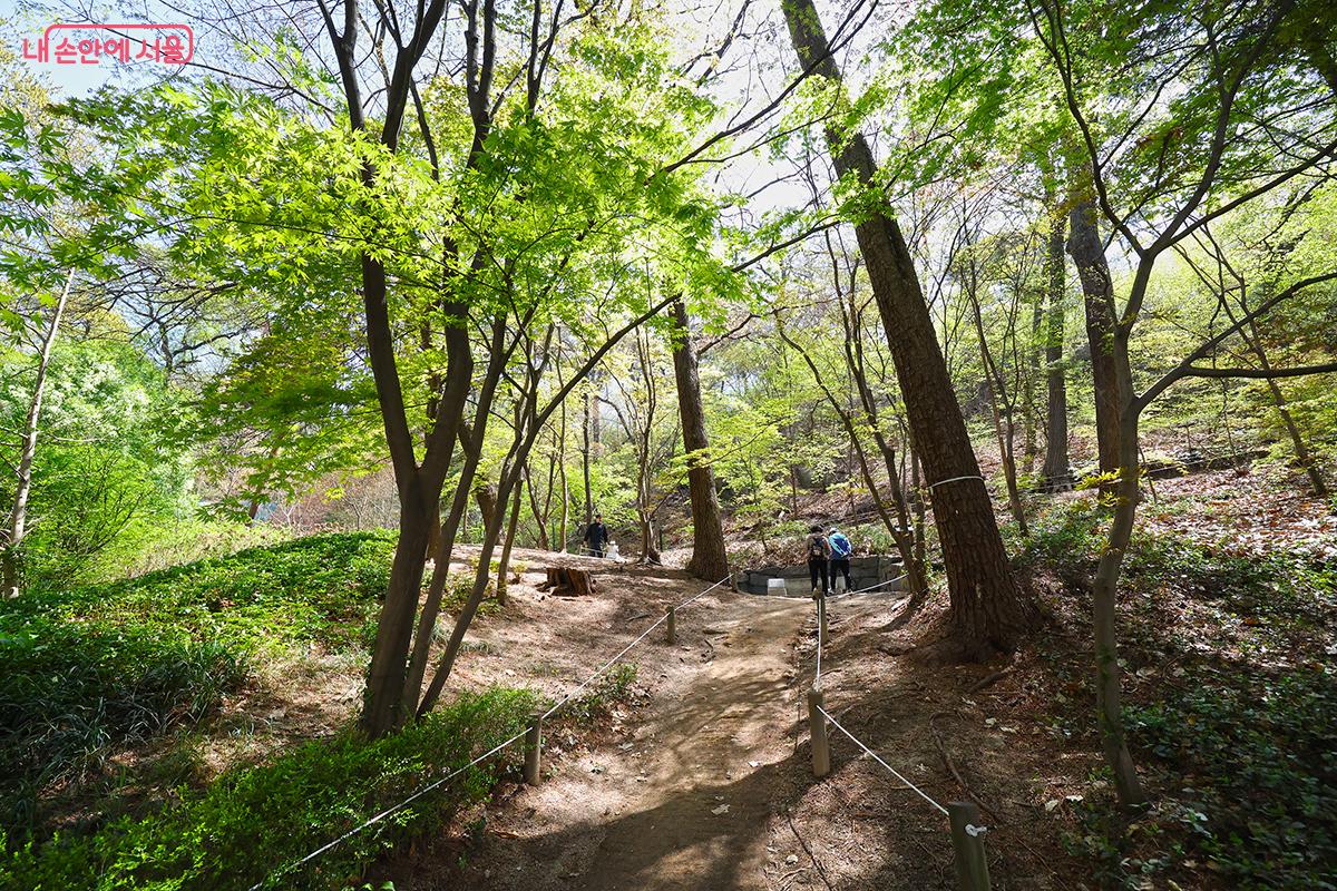 홍릉숲을 즐기러 찾아온 시민들을 만날 수 있다. &copy;김주연