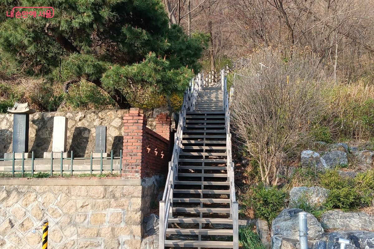 숲길 데크를 따라 걸으면 깊은 숲의 고요와 치유의 시간을 온전히 느낄 수 있다. &copy;임영근