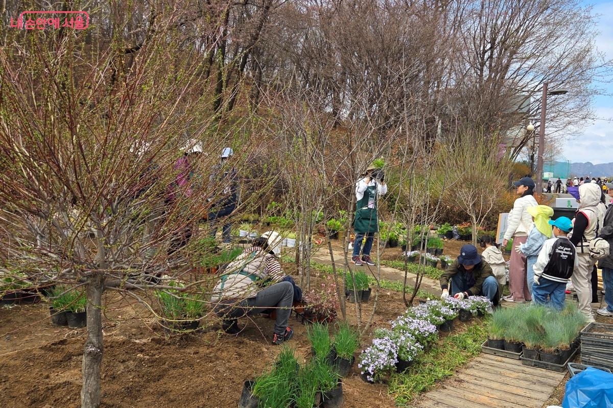 나무에 대한 설명을 듣고, 나무 심기 방법과 정원가꾸는 요령을 배울 수 있었다. &copy;김미선