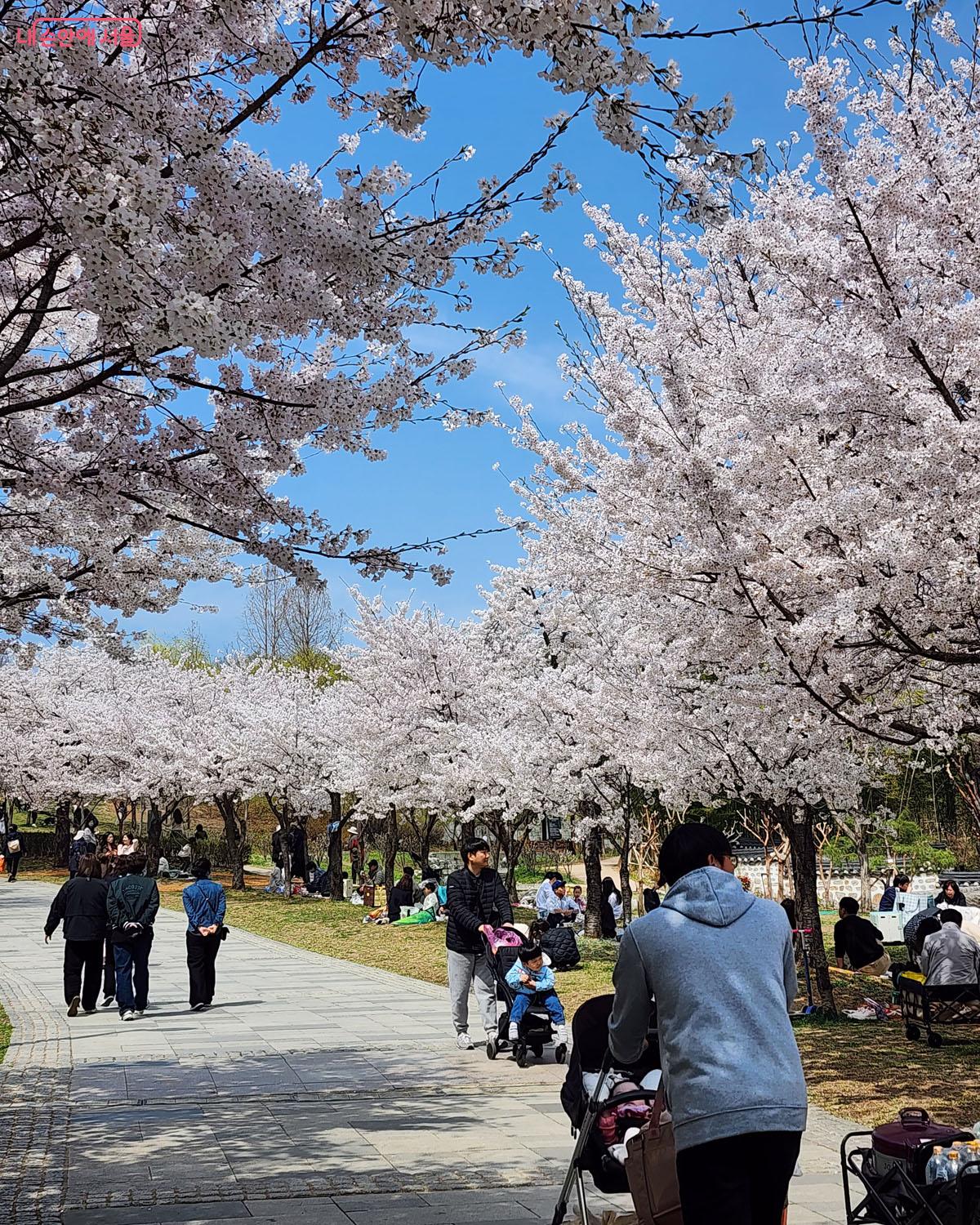 북서울꿈의숲에 봄나들이 나온 가족들 &copy;이진숙 