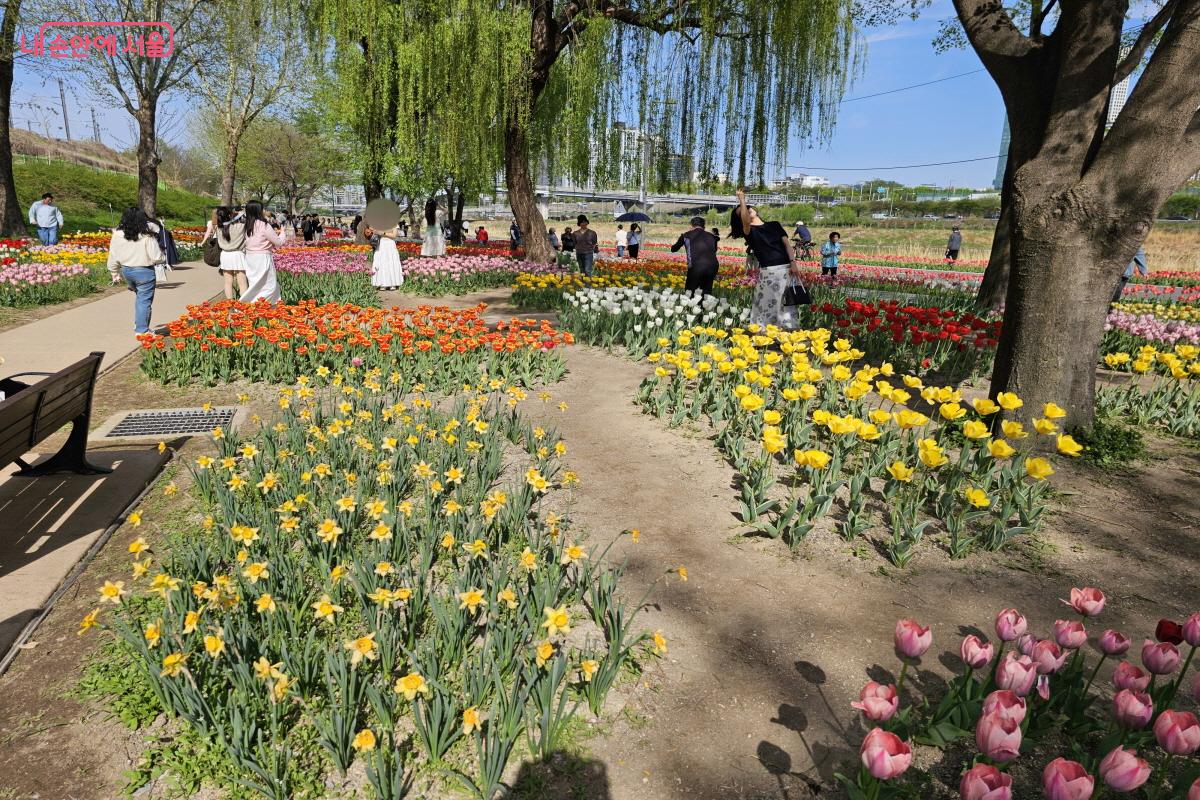 화단을 구역별로 나누어 어디서든 자연스럽게 통행하거나 사진을 찍기 좋다. &copy;염지연