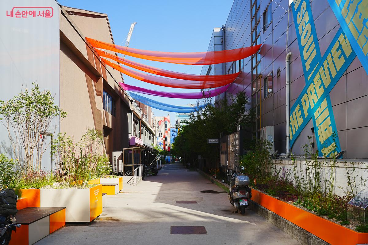 화려한 컬러 캐노피가 직선적인 보행로에 생동감을 부여한다. &copy;김성무