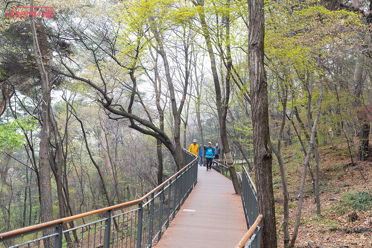 남산의 싱그러움을 오롯이 느끼며 걸었던 남산 하늘숲길 ⓒ문청야