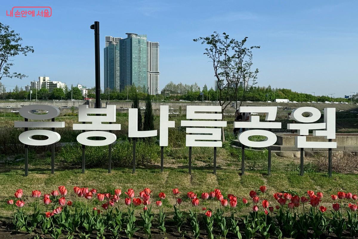 지하철 타고 만난 서울 튤립 명소 &copy;임수영
