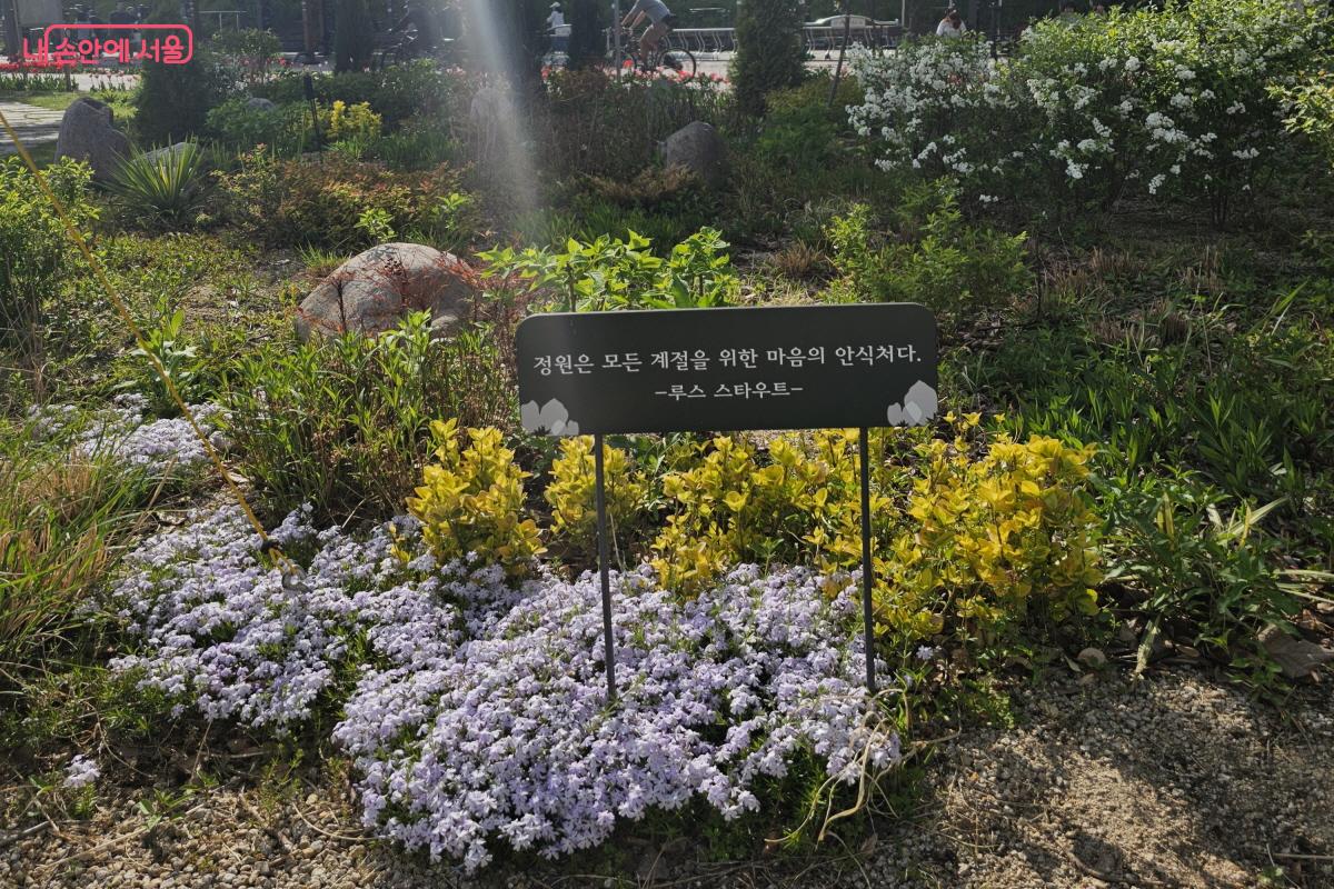 아기자기하게 꾸며져 있어 가족 단위로도 사진을 많이 찍는 모습이었다. &copy;염지연