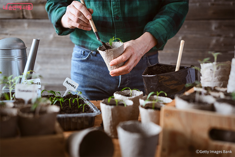 5월 1일부터 10월 27일까지 서울숲에서 &lsquo;매력텃밭정원&rsquo; 체험이 운영된다.