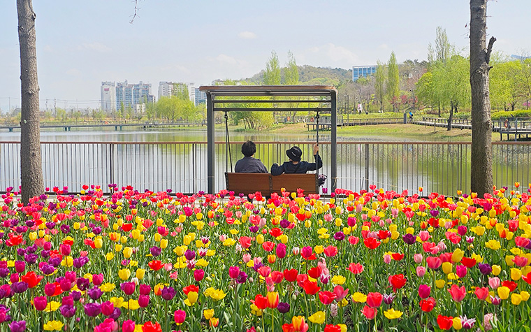 정원박람회 전 미리 즐겨요! 서울 곳곳 '봄꽃 정원' 공개 