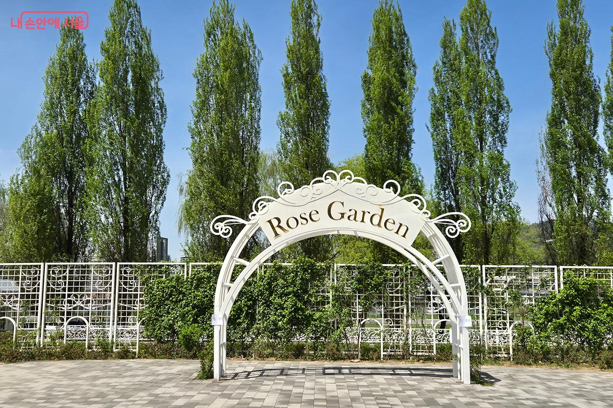 로즈 가든은 5월이 되면 붉은 장미꽃으로 가득한 환상적인 뷰를 제공한다. &copy;백승훈  