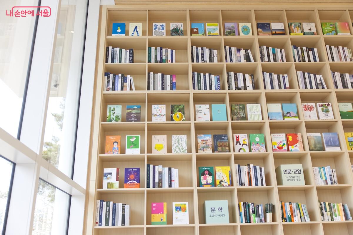 따뜻한 햇살과 높게 시공된 책 서가가 자연스럽게 어우러진 모습