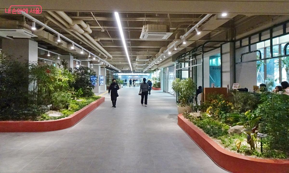 작은도서관, 카페, 실내정원이 있는 은평구청 로비 ⓒ김종성