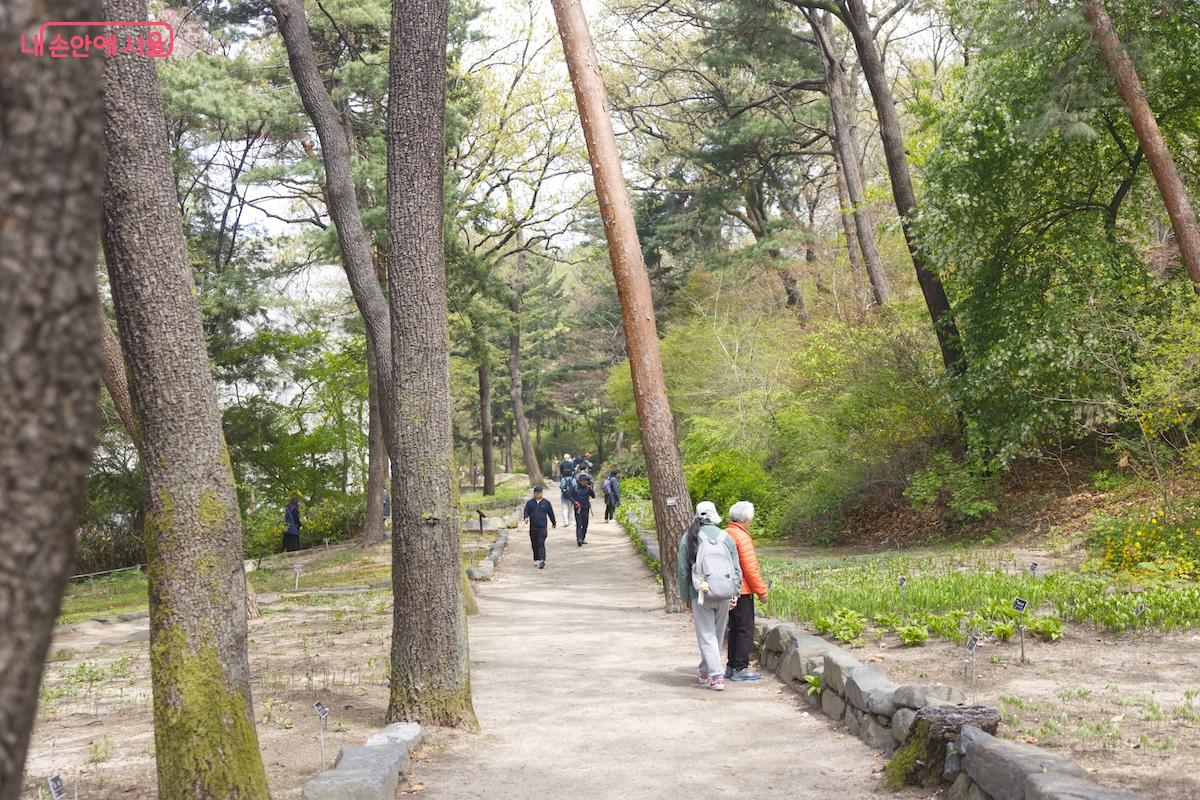 숲해설 프로그램을 평일에도 진행한다고 하여 계속 해서 기대가 되는 홍릉숲이다