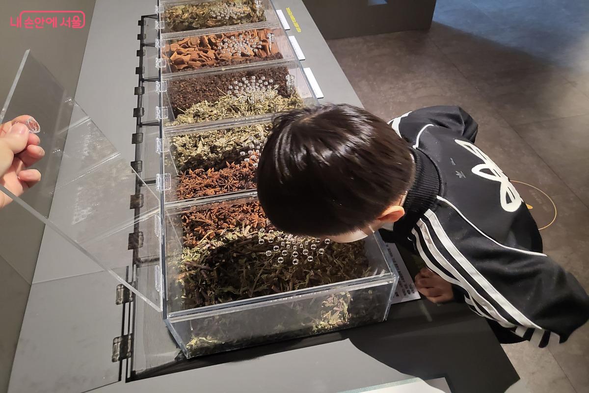 약재의 냄새를 직접 맡아볼 수 있는 오감만족 기획전시 공간 &copy;김주희