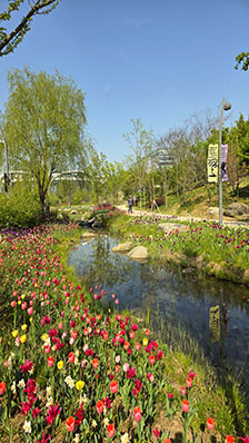 '서울식물원~여의도공원' 봄꽃 품은 나들이 코스 추천!