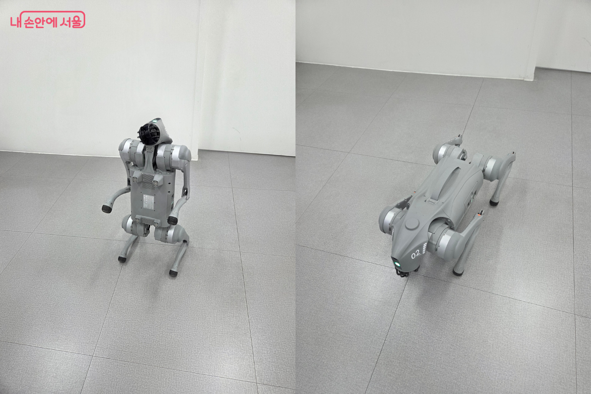 하트를 그리고 있는 로봇 강아지 퓨리 모습 ©김승아