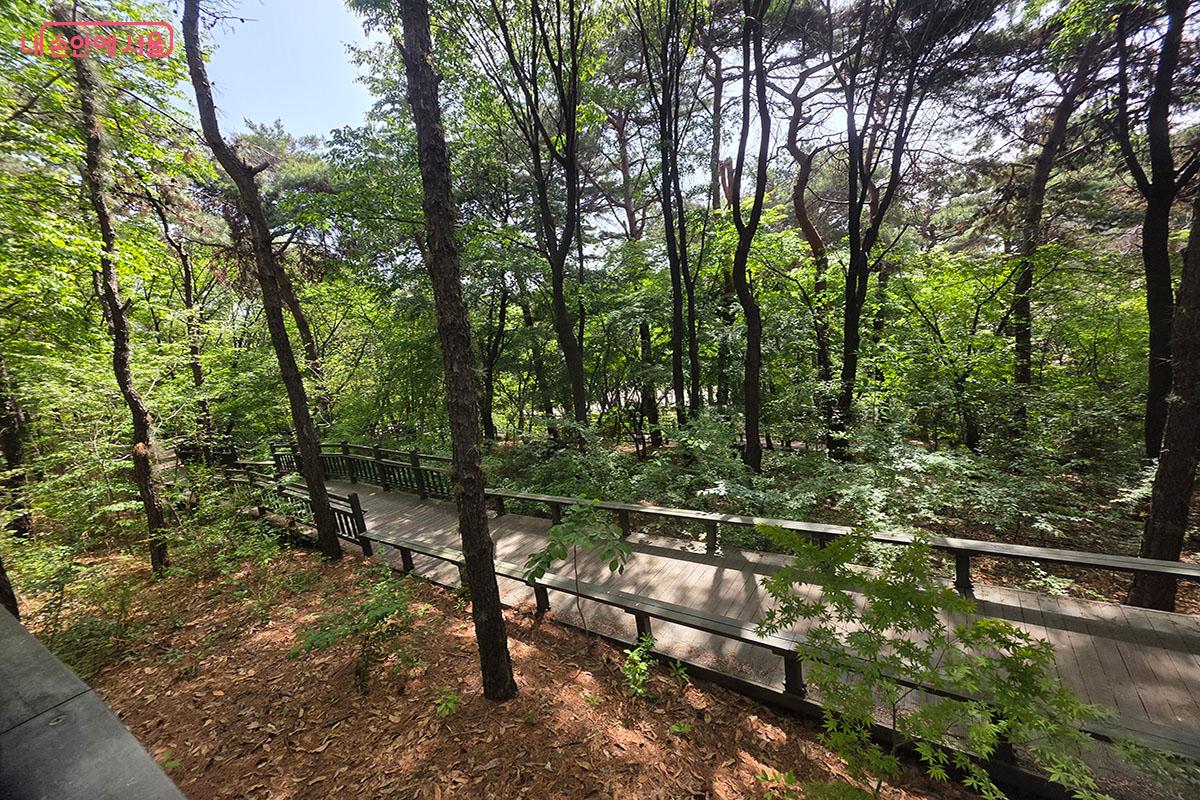 담소정에서 풀무골 대장간으로 이어지는 대봉산 무장애숲길 산책로 &copy;이정민