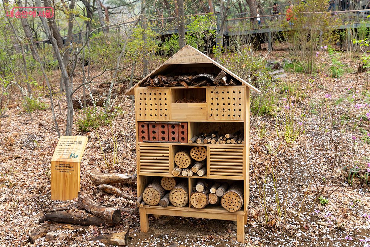 곤충호텔도 만들어 놓았다. 안내판 역시 쓰러진 나무로 제작했다고 한다. ⓒ문청야