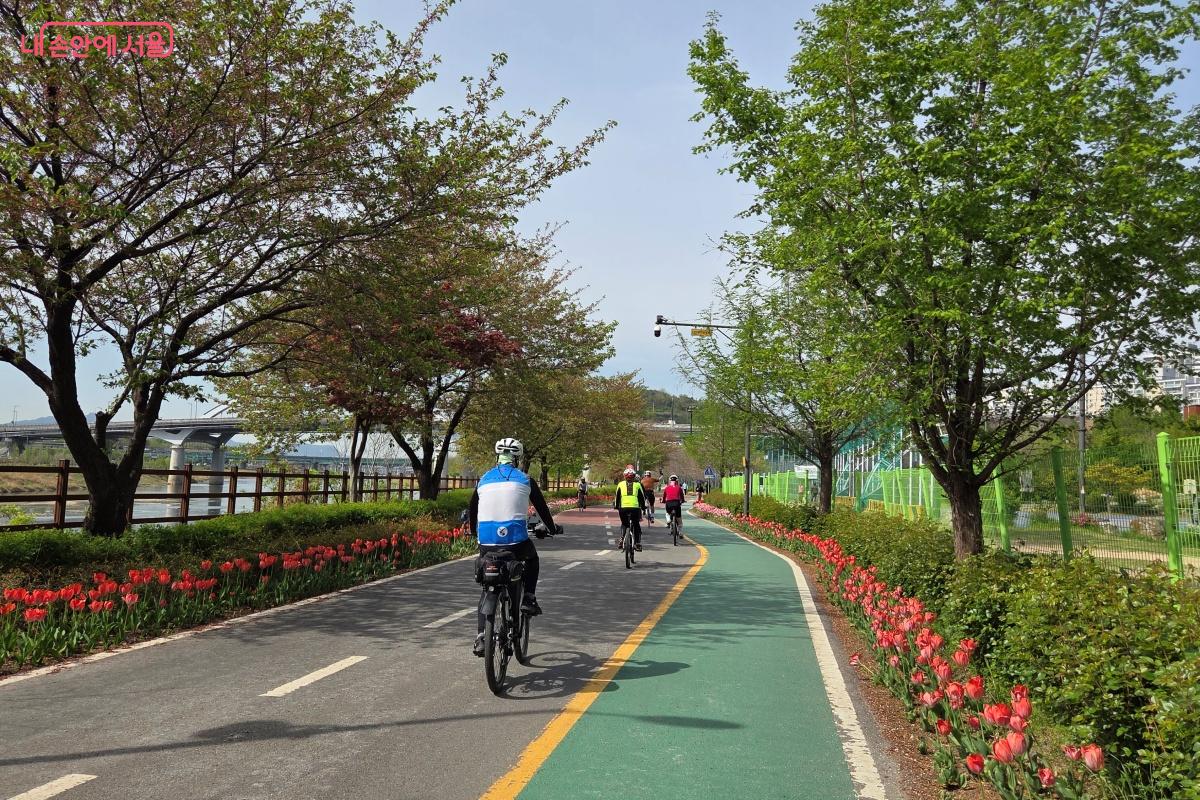 봄바람을 가르며 힘차게 자전거가 달려간다. &copy;김미선