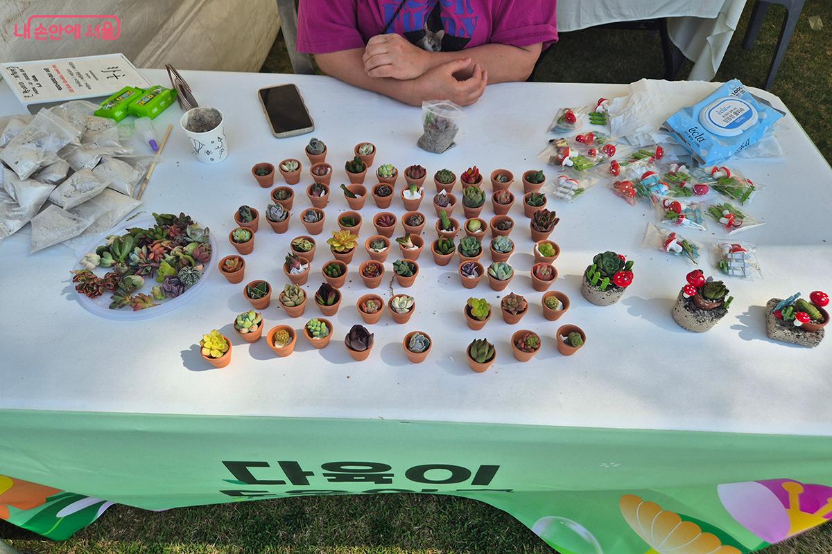 다양한 다육식물을 작은 화분에 심어보는 &lsquo;다육이 도우아트&rsquo; 체험 부스 &copy;이혜숙