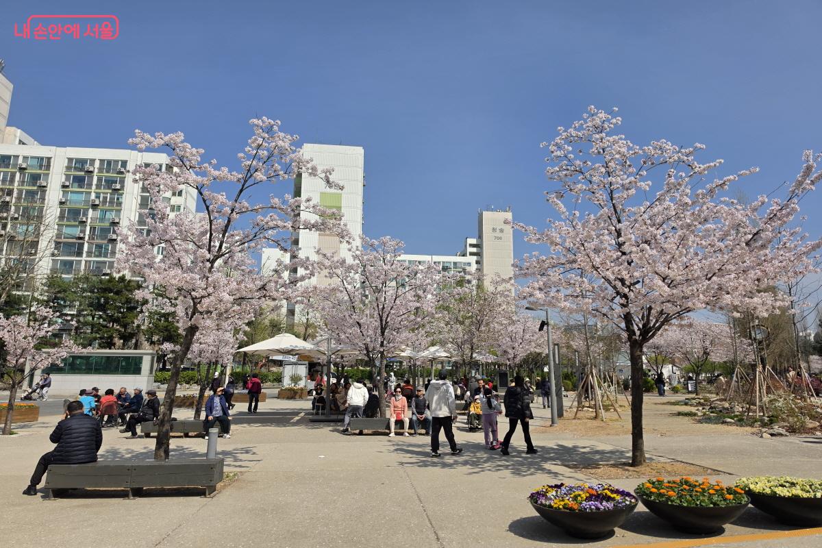 걷는 도중 공원을 만나게 된다.