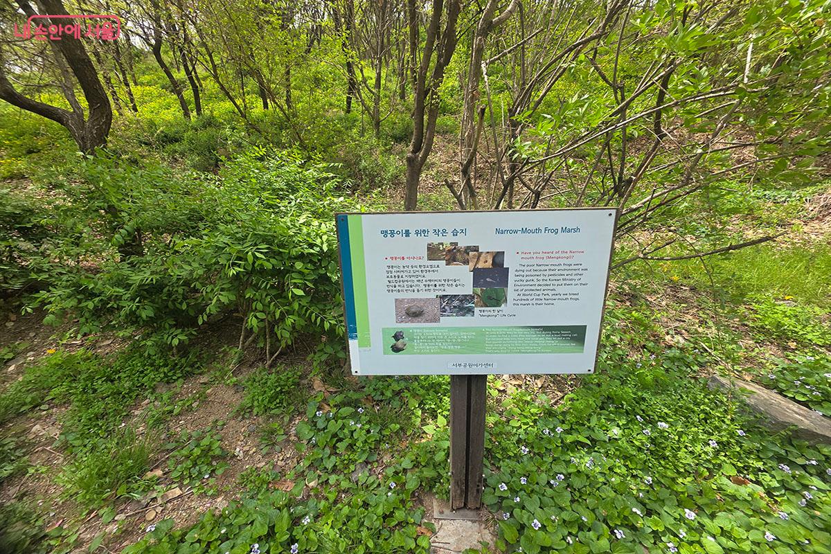 맹꽁이를 위한 습지를 만날 수 있다. &copy;이정민
