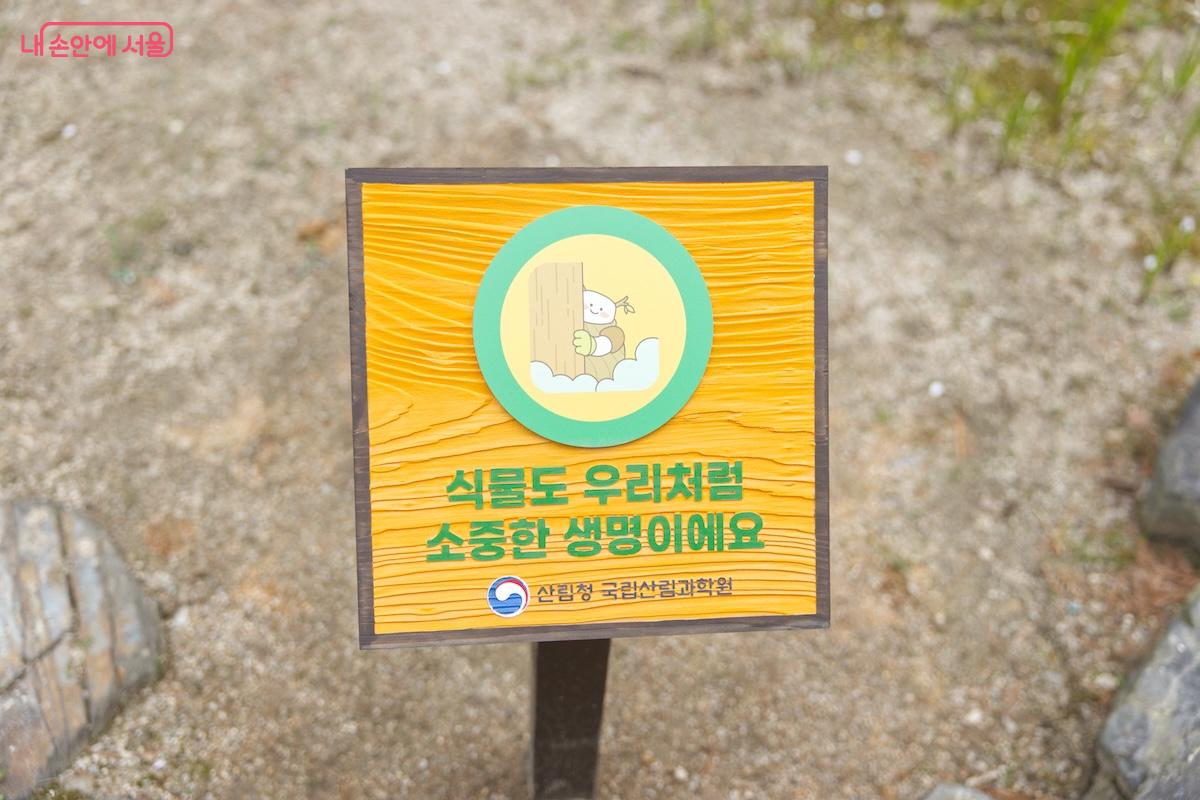 평일 확대개방과 함께 안내문도 많이 정비 되어 있었다