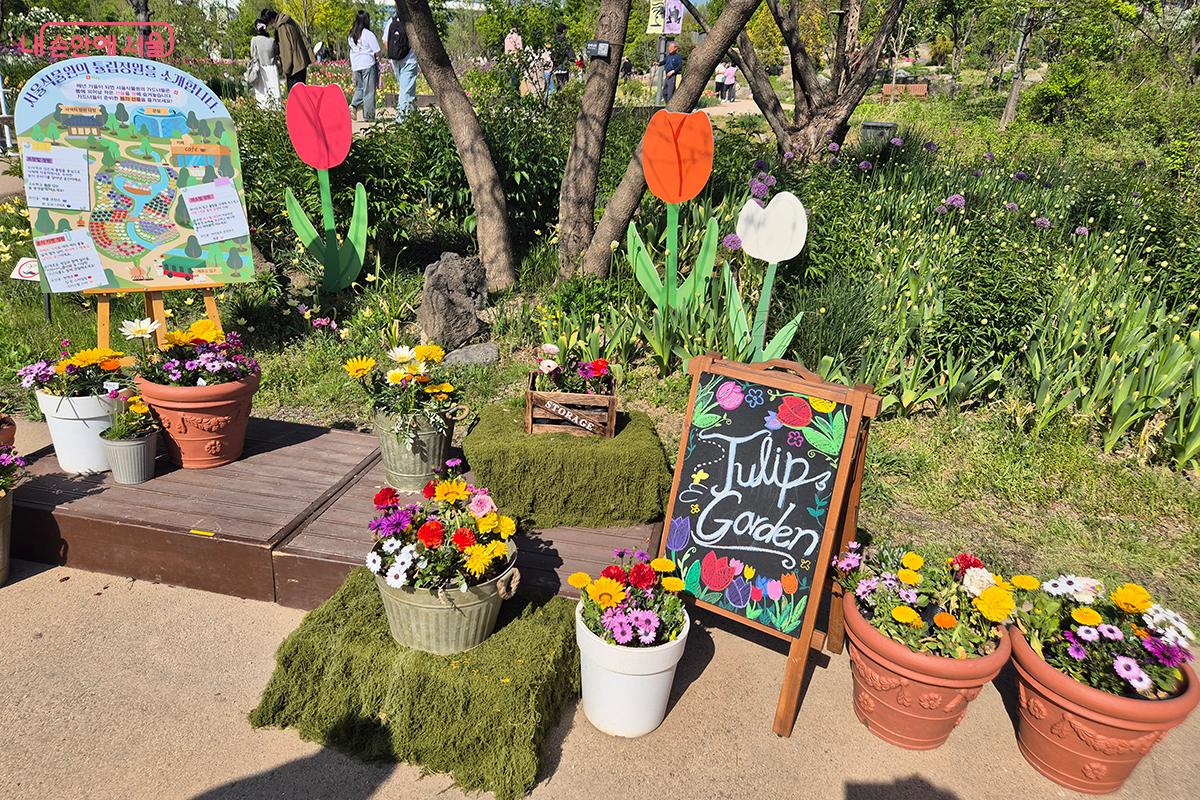 서울식물원 주제원에서는 &lsquo;튤립 가든&rsquo; 축제가 열렸다. &copy;이혜숙