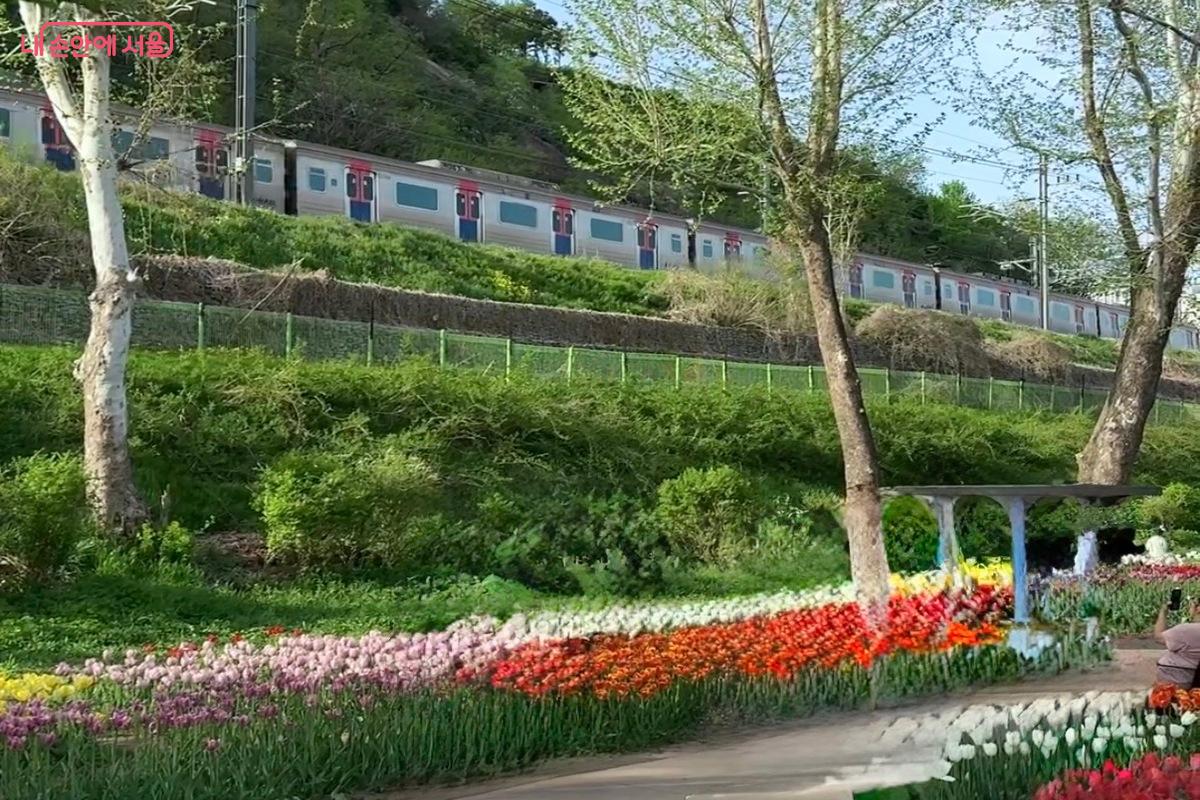 특별한 풍경이 있는 공간 &copy;임수영