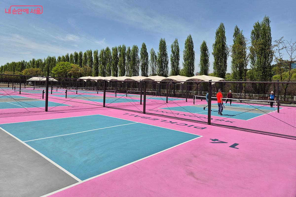 코트 너머로 보이는 한강의 풍경이 피클볼의 즐거움을 더한다. &copy;백승훈