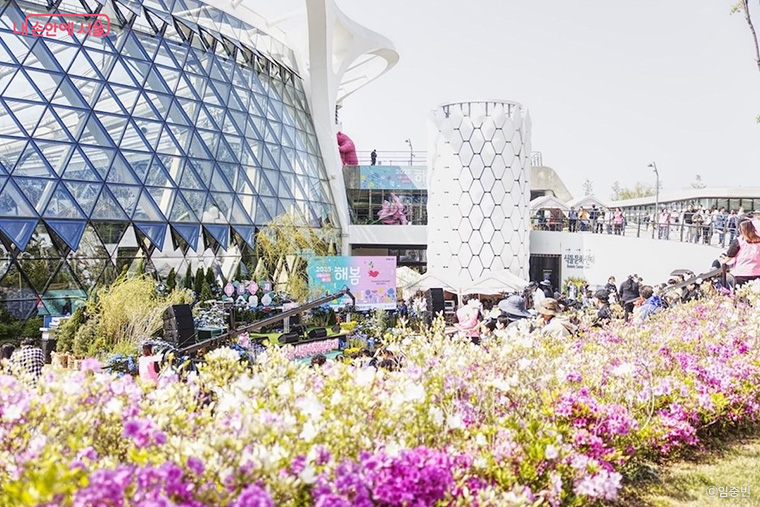 알록달록한 철쭉으로 배경으로 펼쳐진 &lsquo;2025 서울식물원 해봄축제&rsquo; 